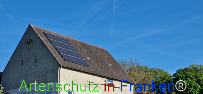 © Artenschutz in Franken® Bild zum Eintrag (1121344-160)