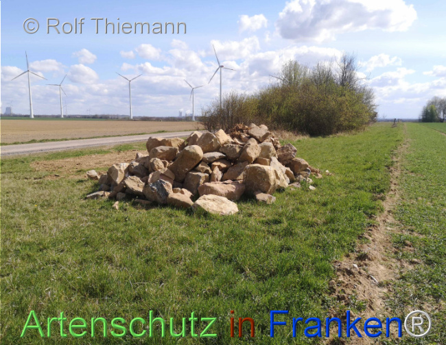 © Artenschutz in Franken® Bild zum Eintrag (1121392-160)