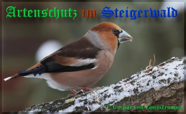Copyright AiS / 2009 Caspar von Zimmermann Bild zum Eintrag (1121980-160)