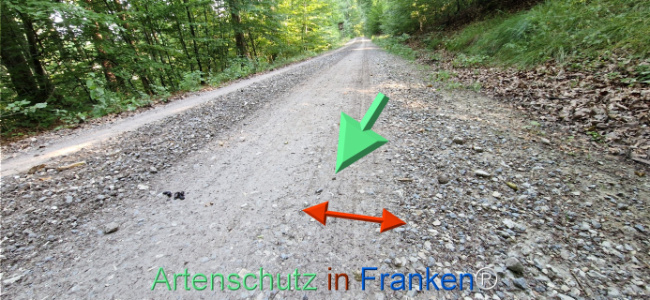 Bild zum Eintrag (1125598-160)