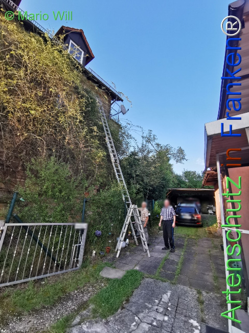 © Artenschutz in Franken® / Mario Will Bild zum Eintrag (1125750-160)