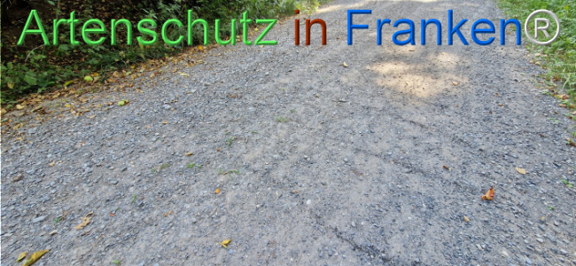 Bild zum Eintrag (1125799-160)