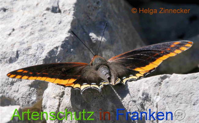 Bild zum Eintrag (1126909-160)