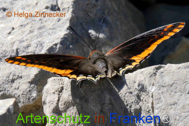 Bild zum Eintrag (1126910-160)