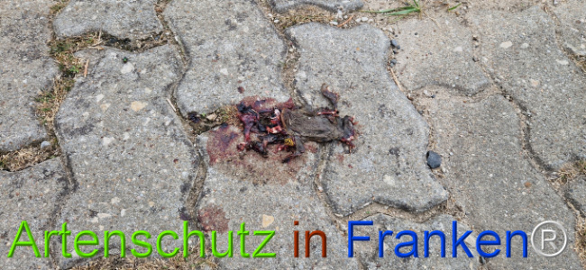 Bild zum Eintrag (1126994-160)