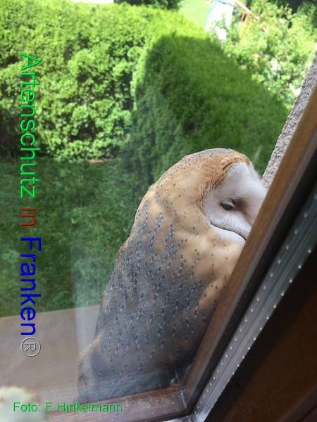 Bild zum Eintrag (1127934-160)