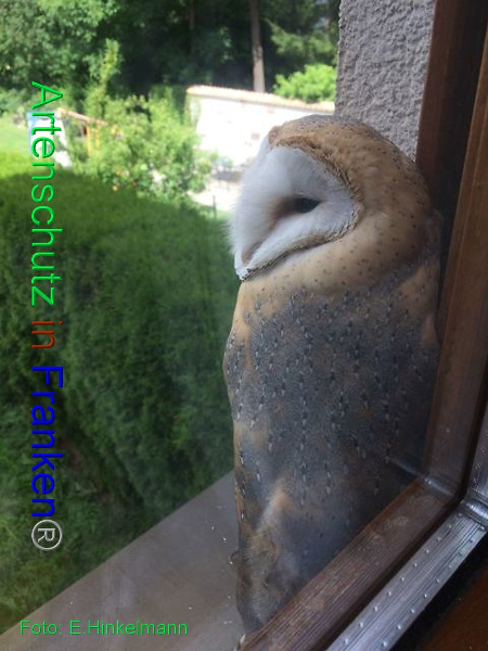 Bild zum Eintrag (1127935-160)