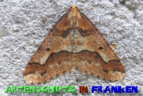 Bild zum Eintrag (1129703-160)