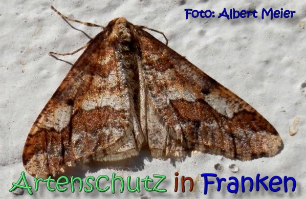 Bild zum Eintrag (1129717-160)