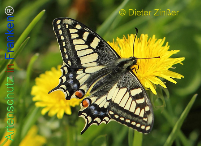 Bild zum Eintrag (1129924-160)