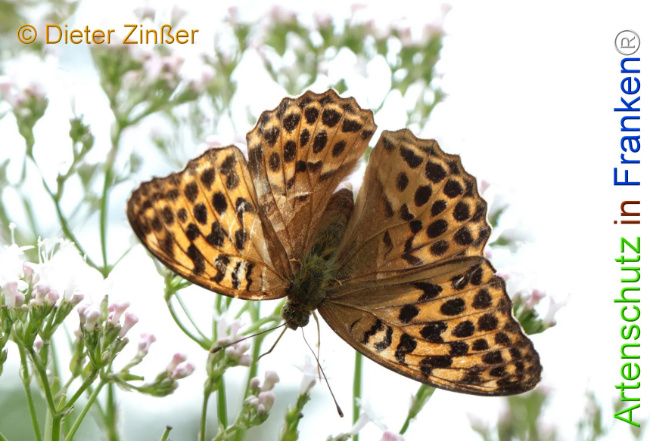 Bild zum Eintrag (1130221-160)