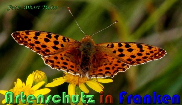 Bild zum Eintrag (1130241-160)