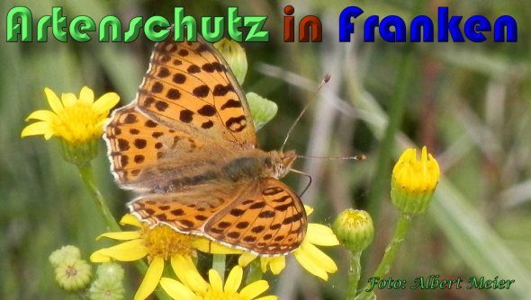 Bild zum Eintrag (1130242-160)