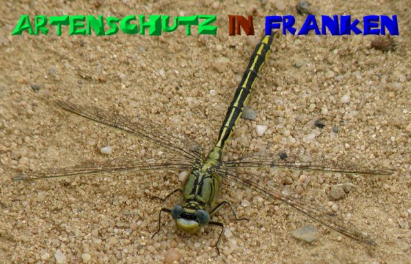 Bild zum Eintrag (1130296-160)