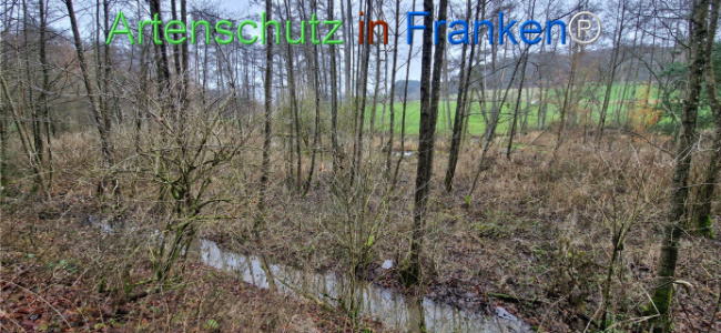 Bild zum Eintrag (1130499-160)