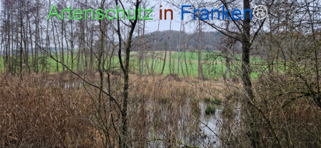 Bild zum Eintrag (1130501-160)