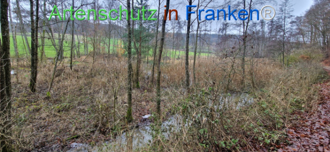 Bild zum Eintrag (1130502-160)