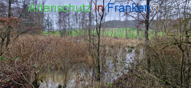 Bild zum Eintrag (1130504-160)