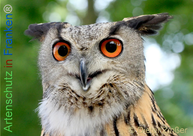 Bild zum Eintrag (1130596-160)