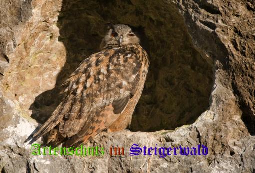 Bild zum Eintrag (1130601-160)