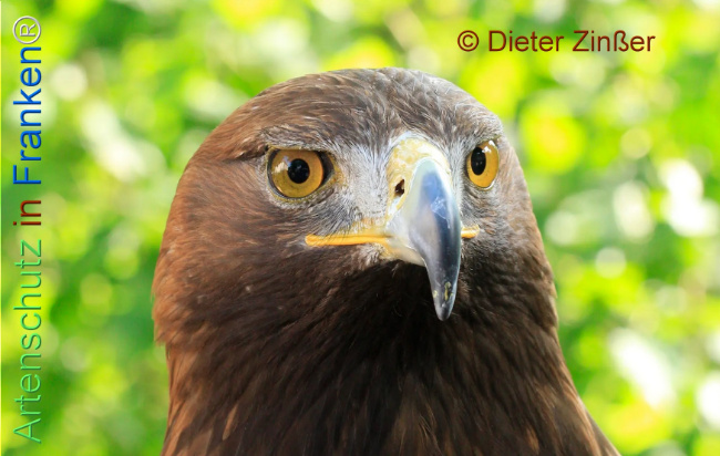 Bild zum Eintrag (1130619-160)