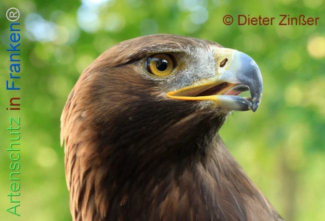 Bild zum Eintrag (1130620-160)