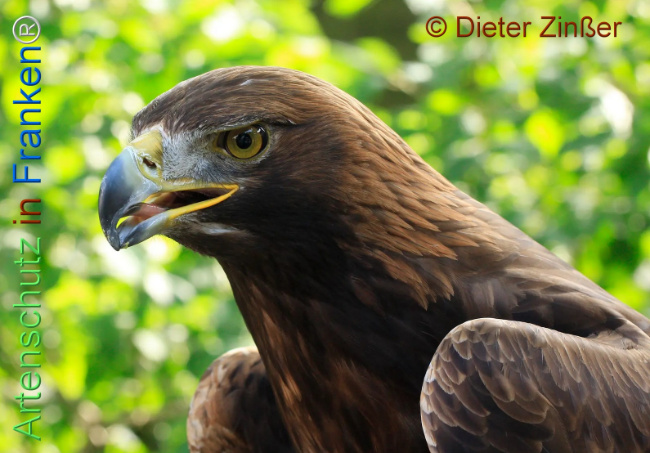 Bild zum Eintrag (1130621-160)