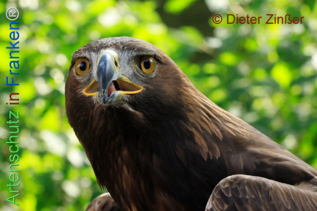 Bild zum Eintrag (1130623-160)