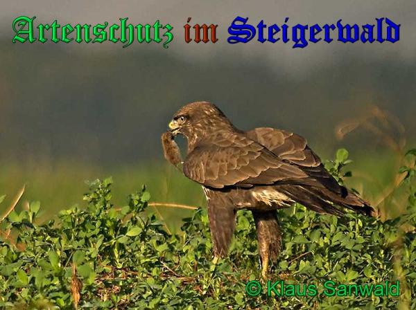 Bild zum Eintrag (1130643-160)