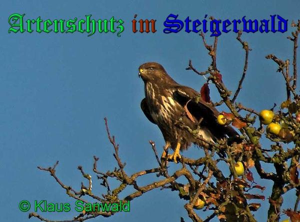 Bild zum Eintrag (1130644-160)