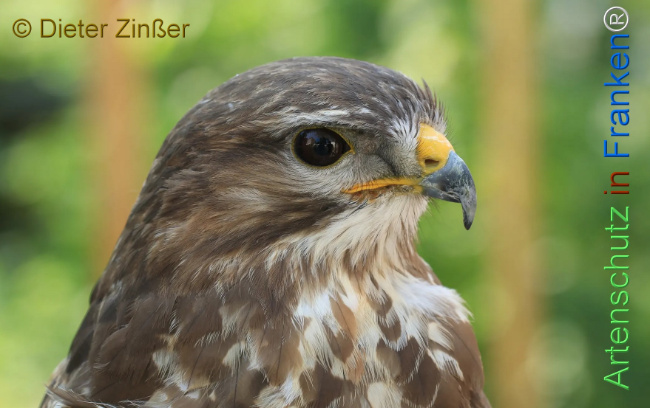 Bild zum Eintrag (1130653-160)