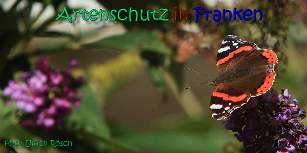 Bild zum Eintrag (1130803-160)