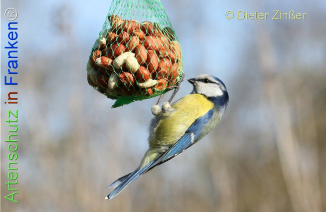 Bild zum Eintrag (1131731-160)