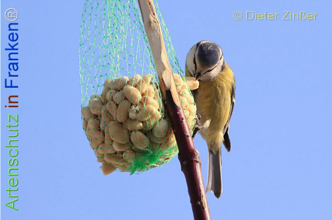 Bild zum Eintrag (1131732-160)