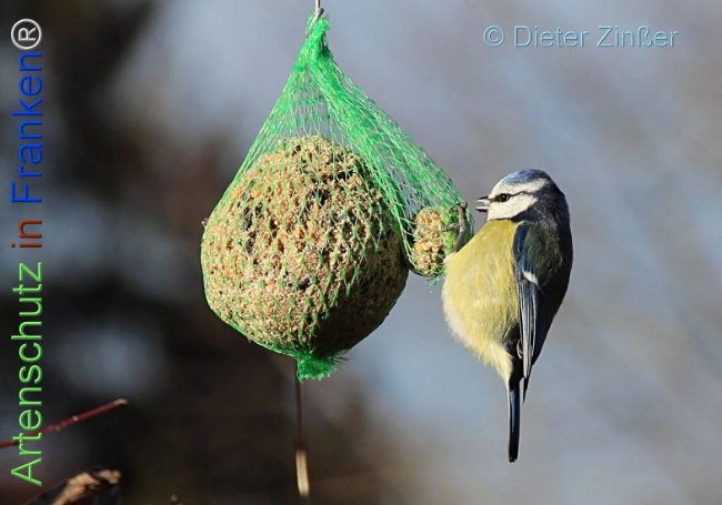 Bild zum Eintrag (1131744-160)