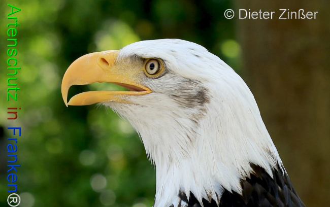 Bild zum Eintrag (1132036-160)