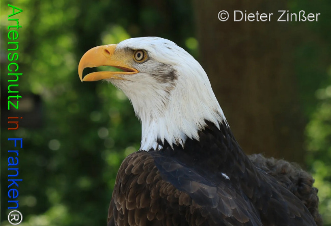 Bild zum Eintrag (1132043-160)