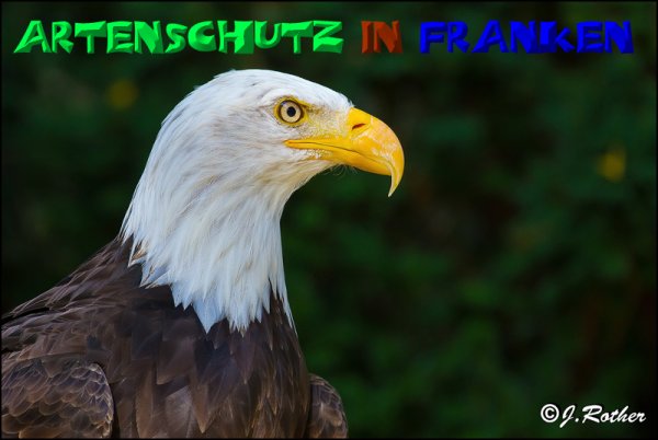 Bild zum Eintrag (1132052-160)