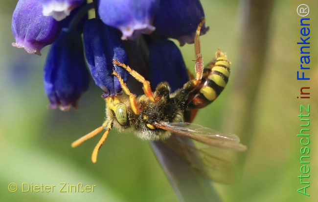 Bild zum Eintrag (1132468-160)