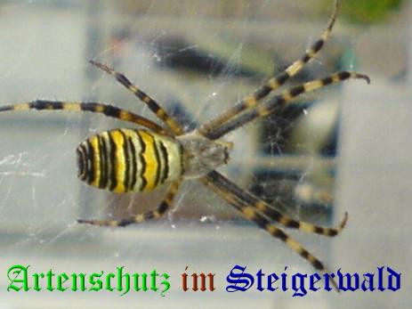 Bild zum Eintrag (1132584-160)