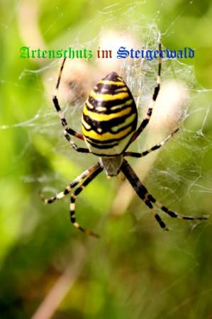 Bild zum Eintrag (1132588-160)