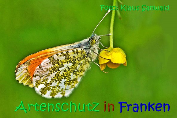 Bild zum Eintrag (1133077-160)