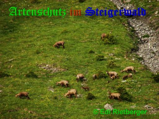 Bild zum Eintrag (1133755-160)