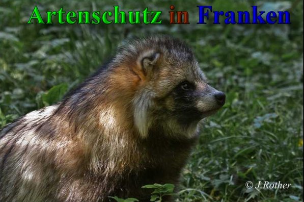 Bild zum Eintrag (1133822-160)