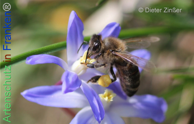 Bild zum Eintrag (1134297-160)