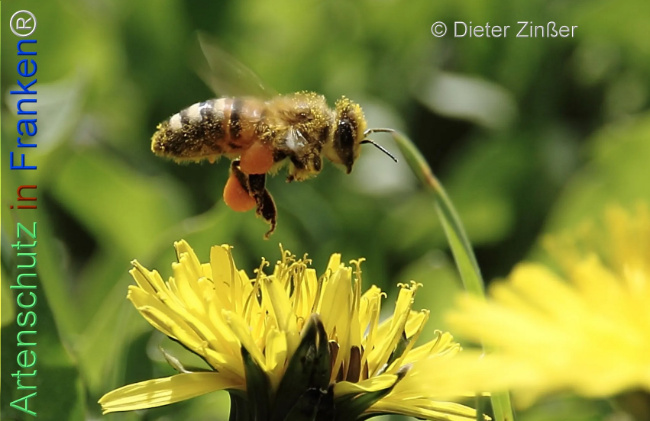 Bild zum Eintrag (1134319-160)