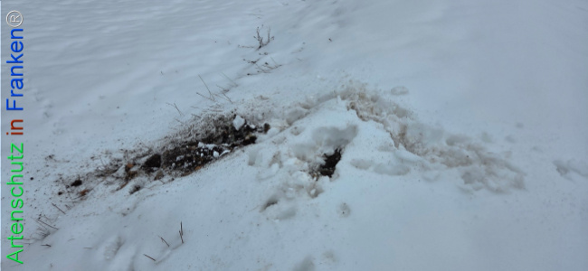 Bild zum Eintrag (1134956-160)