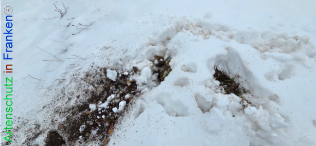 Bild zum Eintrag (1134958-160)