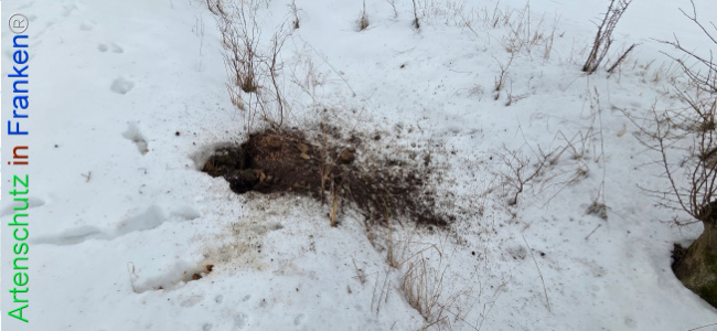 Bild zum Eintrag (1134960-160)