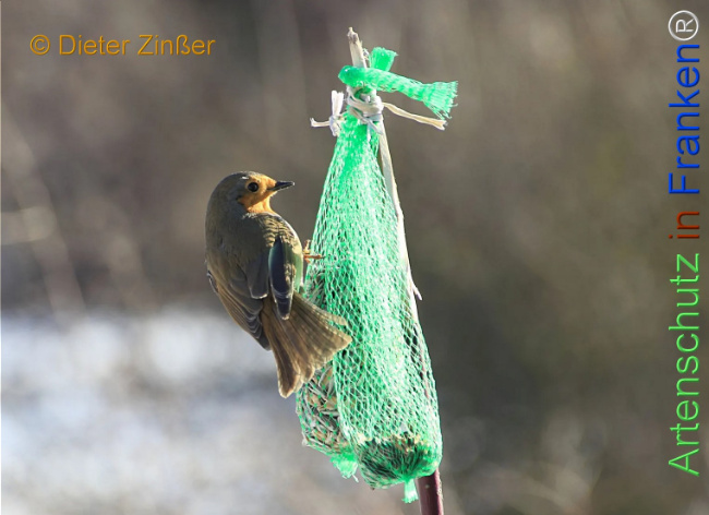 Bild zum Eintrag (1135252-160)